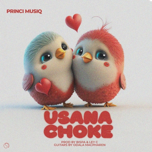 Usanachoke by Princi Musiq