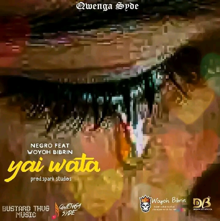 Music Track Yai wata ft Negro by Woyo Bibrin