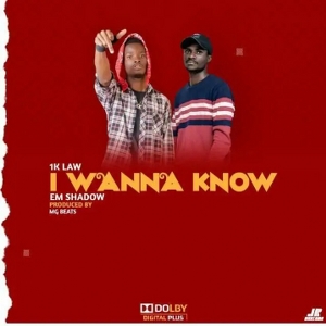 Music Track I wanna know ft Em Shadow by 1K law